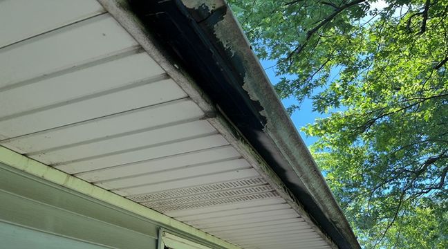 Photo Jun 06 2024, 10 54 08 AM