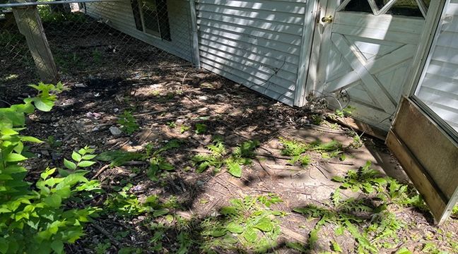 Photo Jun 06 2024, 10 54 30 AM