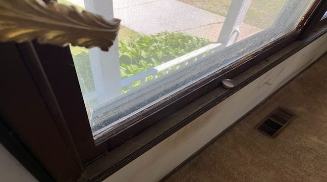 Photo Jun 06 2024, 10 55 39 AM