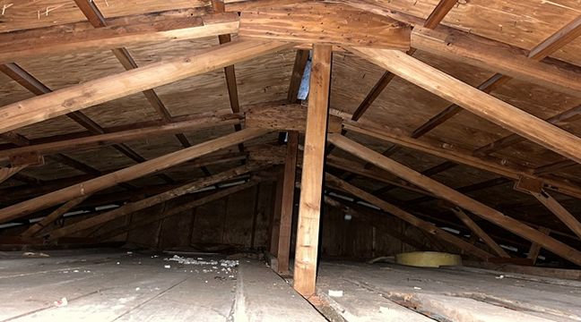 Photo Jun 06 2024, 10 57 58 AM