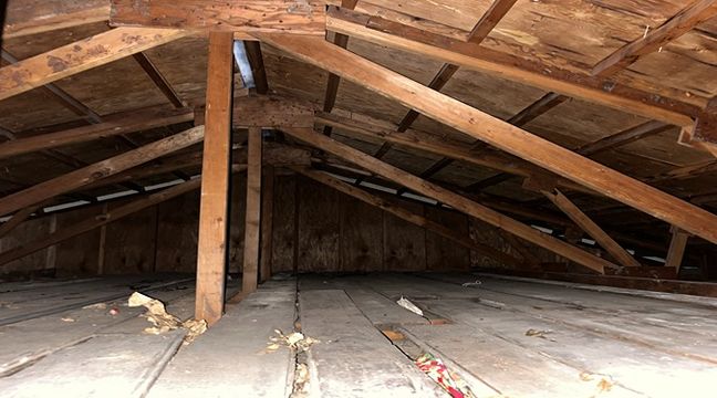 Photo Jun 06 2024, 10 58 05 AM