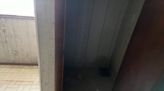 Photo Jun 06 2024, 10 59 42 AM