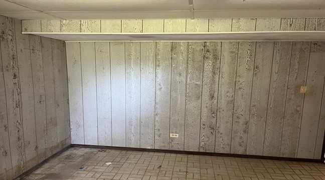 Photo Jun 06 2024, 10 59 48 AM