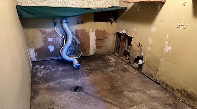 Photo Jun 06 2024, 11 01 13 AM