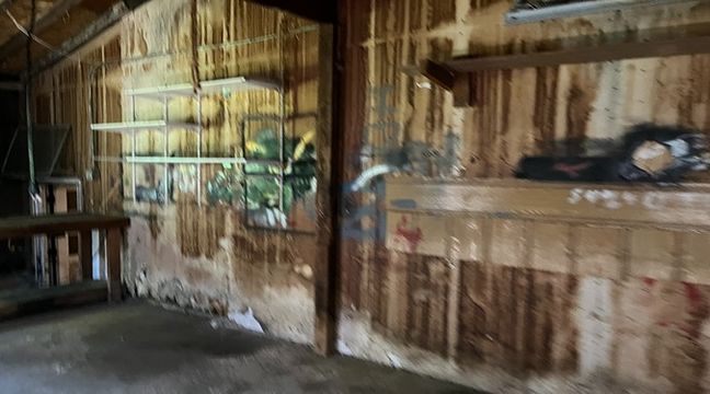 Photo Jun 06 2024, 11 02 25 AM