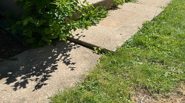 Photo Jun 12 2024, 10 48 02 AM