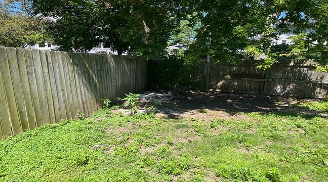 Photo Jun 12 2024, 10 48 22 AM