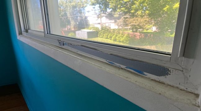 Photo Jun 12 2024, 10 52 44 AM