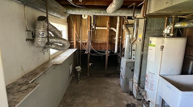 Photo Jun 12 2024, 10 54 20 AM