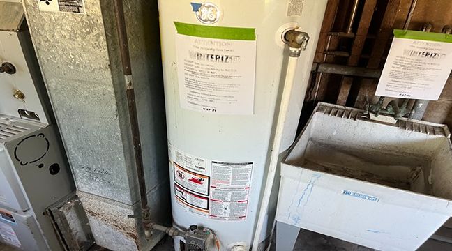 Photo Jun 12 2024, 10 54 26 AM