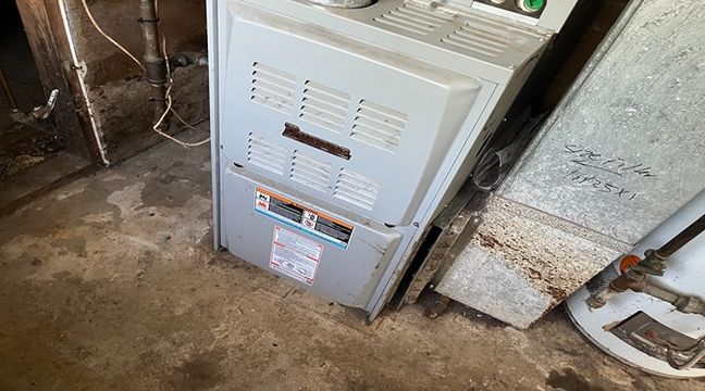 Photo Jun 12 2024, 10 54 29 AM