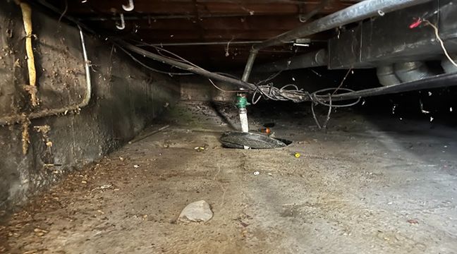 Photo Jun 12 2024, 10 54 36 AM