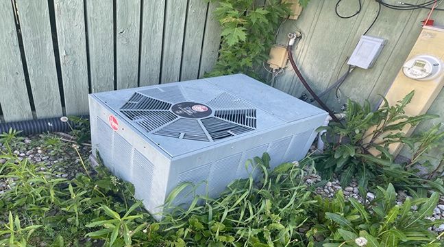 Photo May 30, 9 08 51 AM