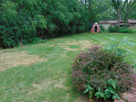 HD_1720471023172_DSC01022