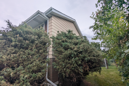 PXL_20240702_155540595