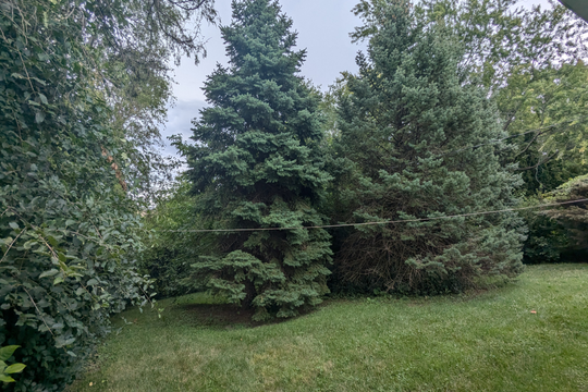 PXL_20240702_155633629