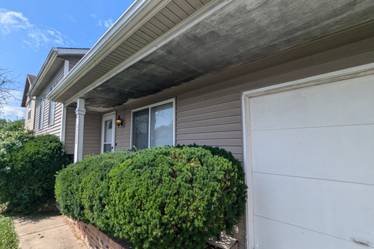 PXL_20240710_152101837