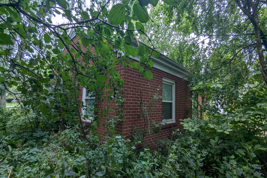 PXL_20240716_135748702