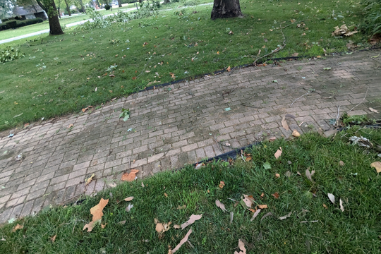 PXL_20240716_135907088