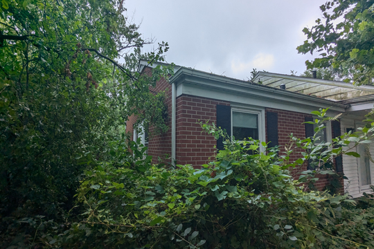 PXL_20240716_135924421