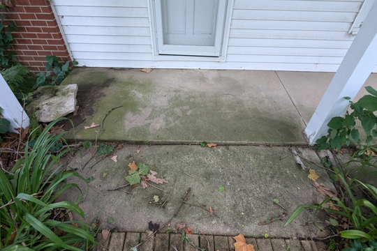 PXL_20240716_135945476