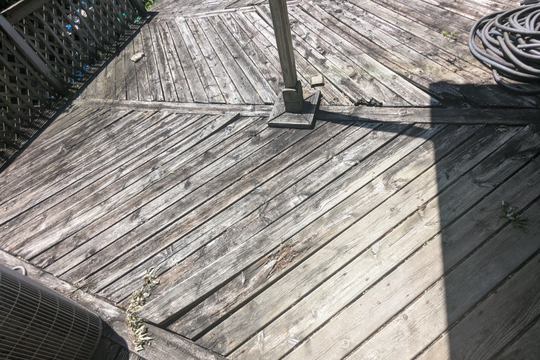 PXL_20240725_181137055