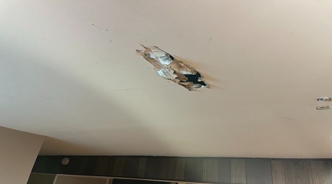 Photo Jul 11 2024, 1 00 54 PM