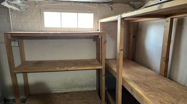 Photo Jul 11 2024, 1 02 46 PM