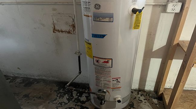 Photo Jul 11 2024, 1 02 52 PM