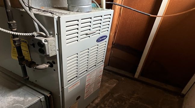 Photo Jul 11 2024, 1 02 58 PM