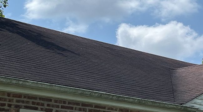 Photo Jul 11 2024, 12 52 42 PM