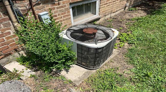 Photo Jul 11 2024, 12 53 39 PM