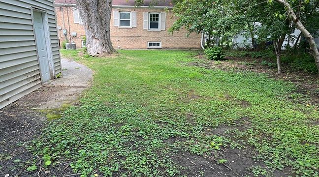 Photo Jul 11 2024, 12 54 25 PM