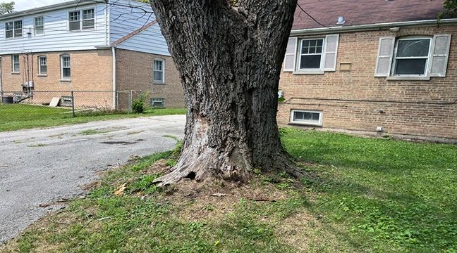 Photo Jul 11 2024, 12 55 31 PM