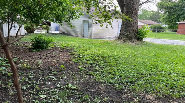 Photo Jul 11 2024, 12 55 47 PM