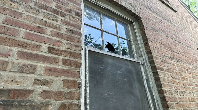 Photo Jul 11 2024, 12 55 57 PM