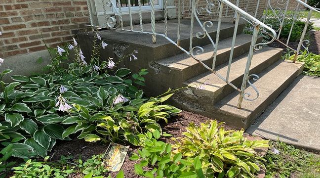 Photo Jul 11 2024, 12 56 14 PM