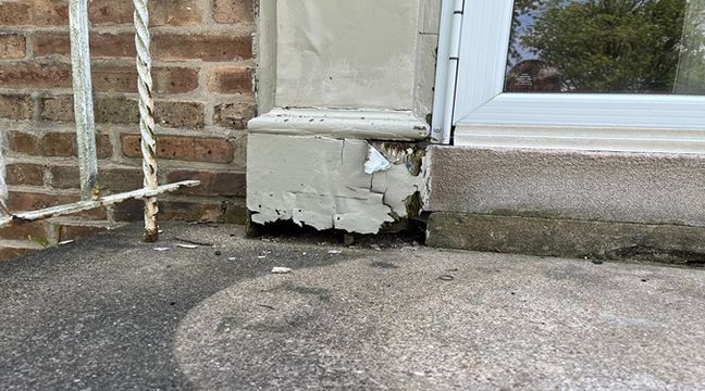 Photo Jul 11 2024, 12 56 25 PM