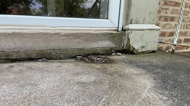 Photo Jul 11 2024, 12 56 27 PM