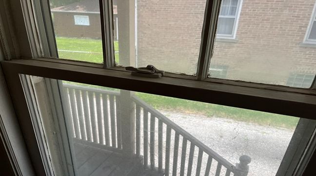 Photo Jul 11 2024, 12 57 29 PM