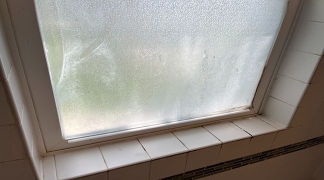 Photo Jul 11 2024, 12 58 03 PM