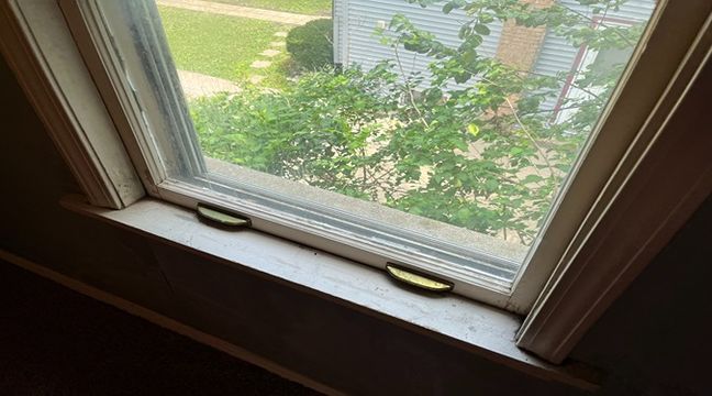 Photo Jul 11 2024, 12 59 25 PM