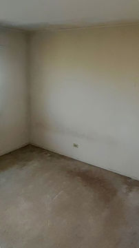 HD_1715367353734_imagejpeg_1_20_