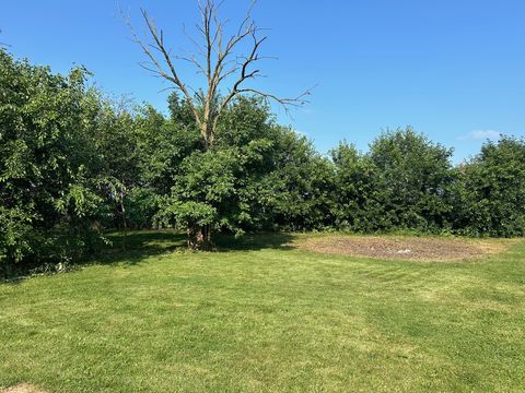 HD_1721917869769_IMG_7664