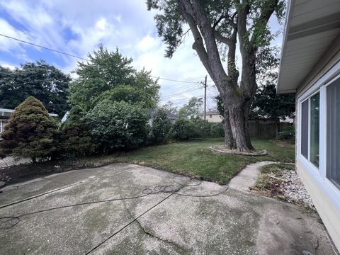 HD_1723507783334_IMG_3355