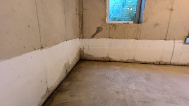 PXL_20240821_144359513