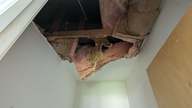 PXL_20240821_144525594
