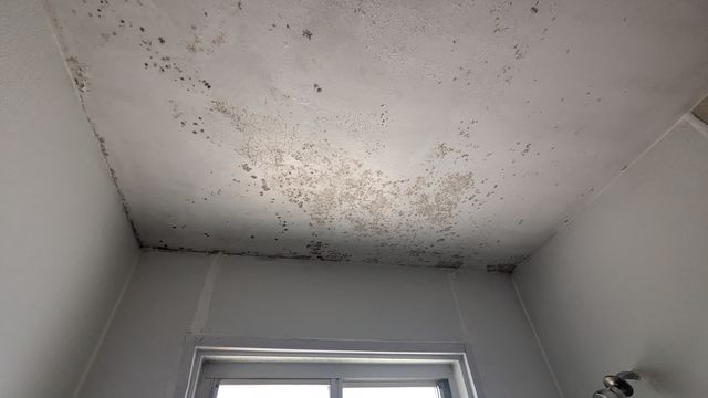 PXL_20240828_173016728