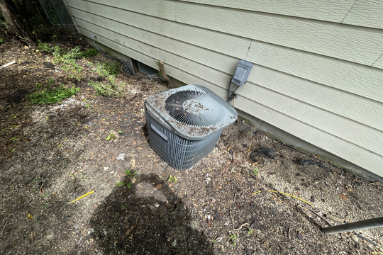 Photo Aug 01, 2 01 41 PM