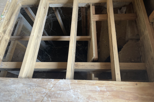 Photo Aug 01, 2 56 43 PM